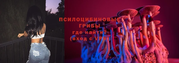 хмурый Алзамай