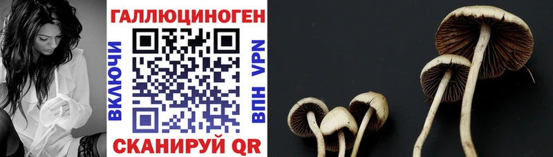 Псилоцибиновые грибы ЛСД Гаджиево